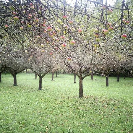 Seehaus Kaernten 펜션