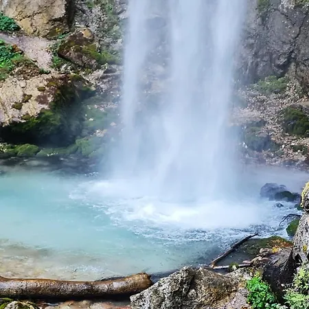 펜션 Seehaus Kaernten