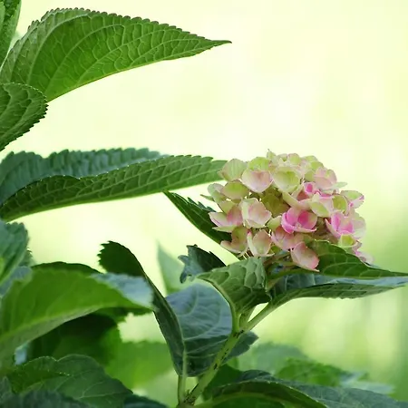 Seehaus Kaernten Saager