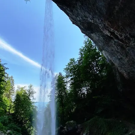 펜션 Seehaus Kaernten