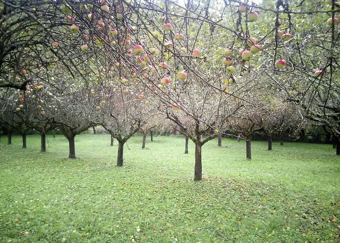 Seehaus Kaernten Дом отдыха