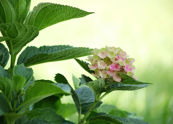 Seehaus Kaernten Saager