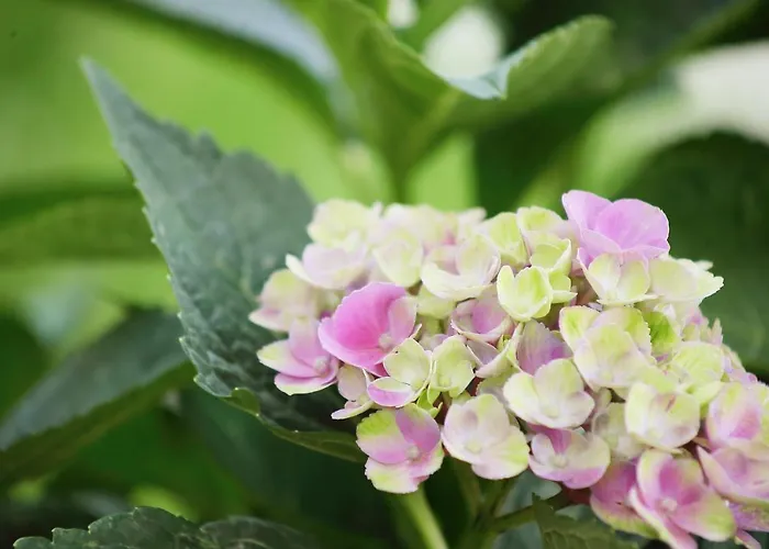 Seehaus Kaernten Σπίτι διακοπών